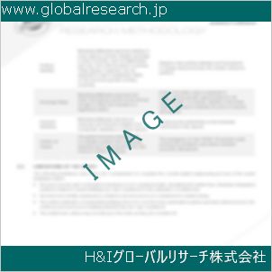 グローバルリサーチ調査資料のイメージ